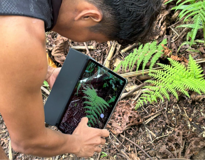 app-inaturalist