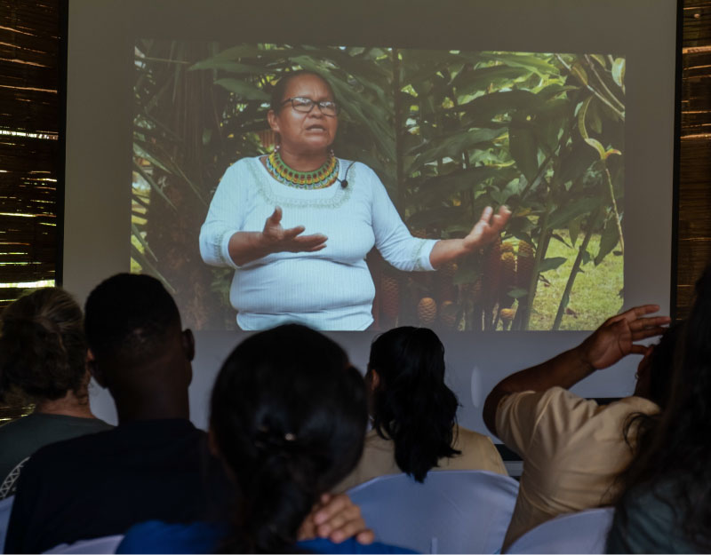 educacion-sostenibilidad