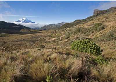 De los páramos a la urbe: historia ambiental, fuentes de agua y gobernanza más que humana para la ciudad de Quito, Ecuador
