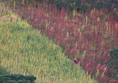 Mapping pesticide mixtures to cancer risk at the country scale with spatial exposomics